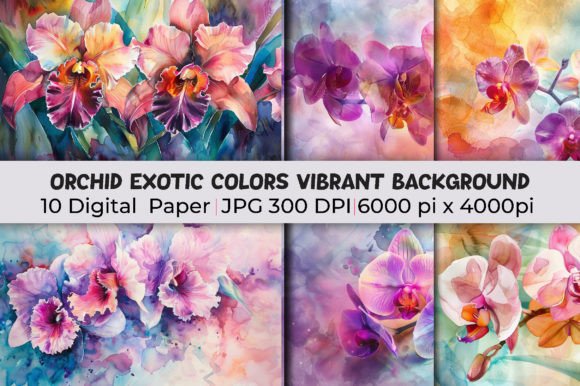 Unlocking Visual Depth with Orchid Exotic Colors Vibrant Backgrounds